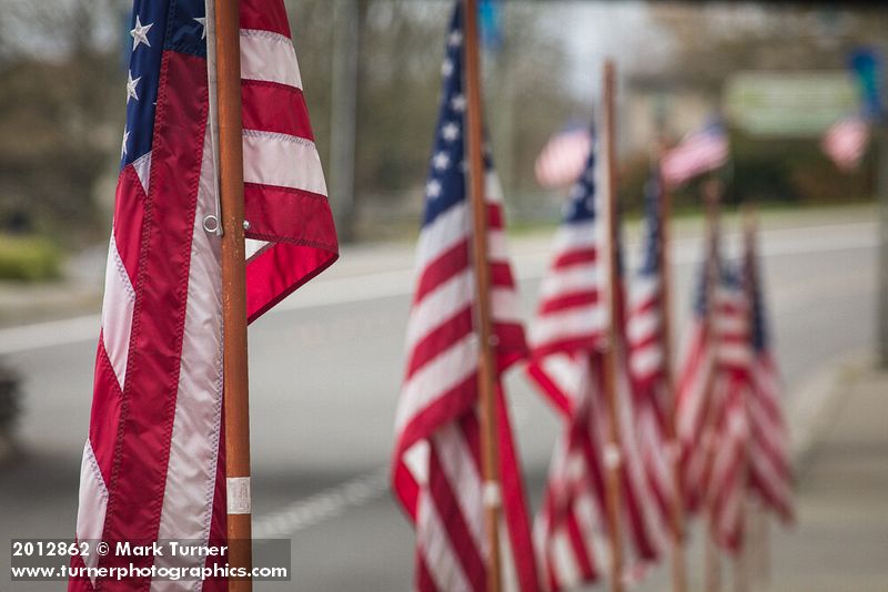 American flags on Ferndale Main Street in honor of Veteran's Day. Ferndale, WA. © Mark Turner [2012862]