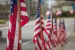 American flags on Ferndale Main Street in honor of Veteran's Day. Ferndale, WA. © Mark Turner [2012862]