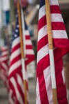 American flags on Ferndale Main Street in honor of Veteran's Day. Ferndale, WA. © Mark Turner [2012867]