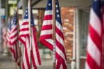 American flags on Ferndale Main Street in honor of Veteran's Day. Ferndale, WA. © Mark Turner [2012873]