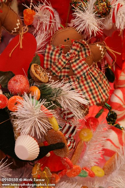 0910559 Gingerbread & Candy Christmas tree ornaments detail. Mary Etta Foster, Ferndale, WA. © Mark Turner