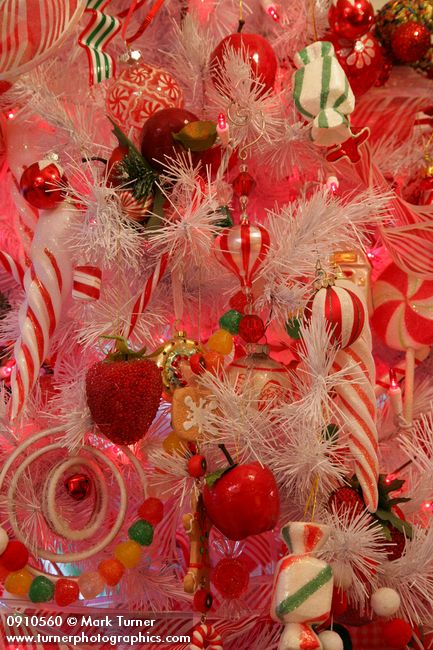 0910560 Gingerbread & Candy Christmas tree ornaments detail. Mary Etta Foster, Ferndale, WA. © Mark Turner