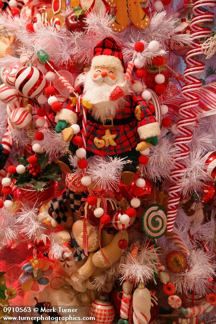 0910563 Gingerbread & Candy Christmas tree Santa ornament detail. Mary Etta Foster, Ferndale, WA. © Mark Turner