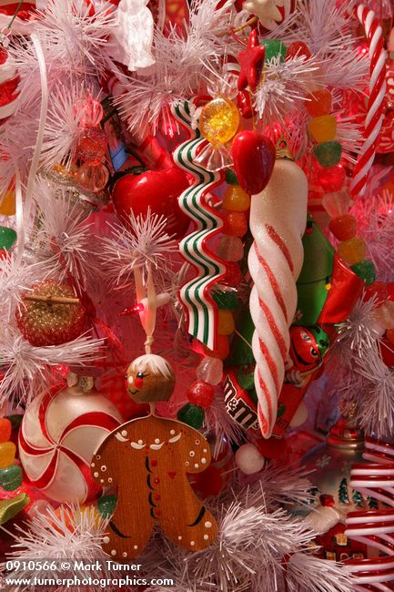 0910566 Gingerbread & Candy Christmas tree ornaments detail. Mary Etta Foster, Ferndale, WA. © Mark Turner