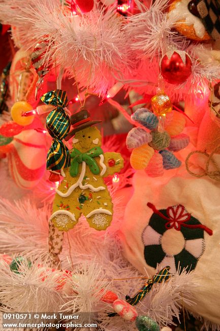 0910571 Gingerbread & Candy Christmas tree ornaments detail. Mary Etta Foster, Ferndale, WA. © Mark Turner