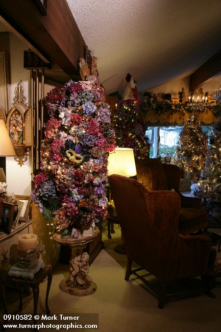 0910582 Hydrangea Christmas tree near wingback chairs in living room. Mary Etta Foster, Ferndale, WA. © Mark Turner