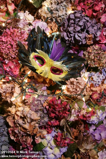 0910584 Feather mask on Hydrangea Christmas tree. Mary Etta Foster, Ferndale, WA. © Mark Turner