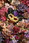 0910584 Feather mask on Hydrangea Christmas tree. Mary Etta Foster, Ferndale, WA. © Mark Turner