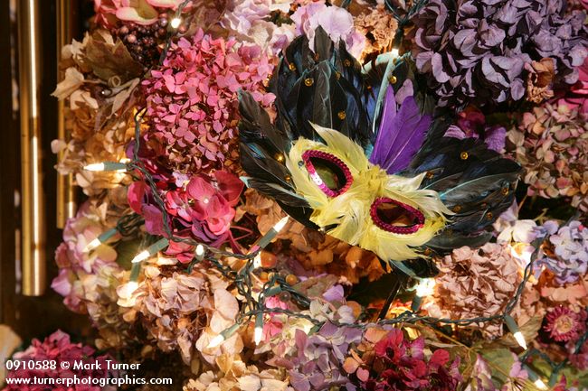 0910588 Feather mask on Hydrangea Christmas tree. Mary Etta Foster, Ferndale, WA. © Mark Turner