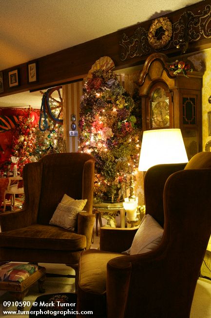 0910590 Hydrangea Christmas tree near wingback chairs in living room. Mary Etta Foster, Ferndale, WA. © Mark Turner