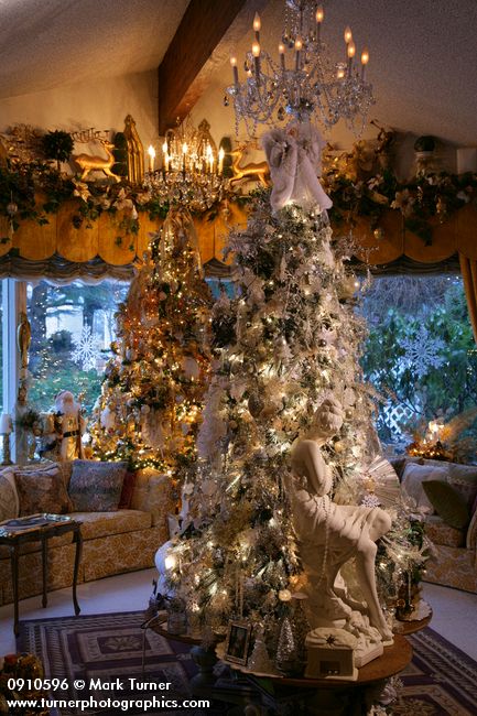 0910596 Silver & Gold Christmas trees in living room. Mary Etta Foster, Ferndale, WA. © Mark Turner