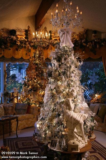 0910599 Silver & Gold Christmas trees in living room. Mary Etta Foster, Ferndale, WA. © Mark Turner