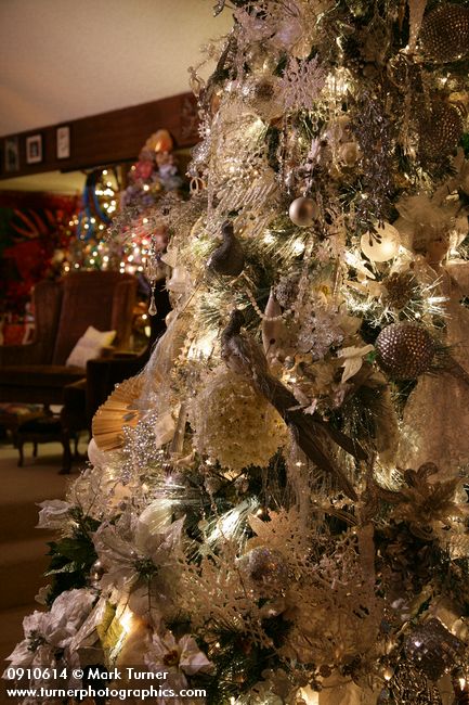 0910614 Silver Christmas tree. Mary Etta Foster, Ferndale, WA. © Mark Turner