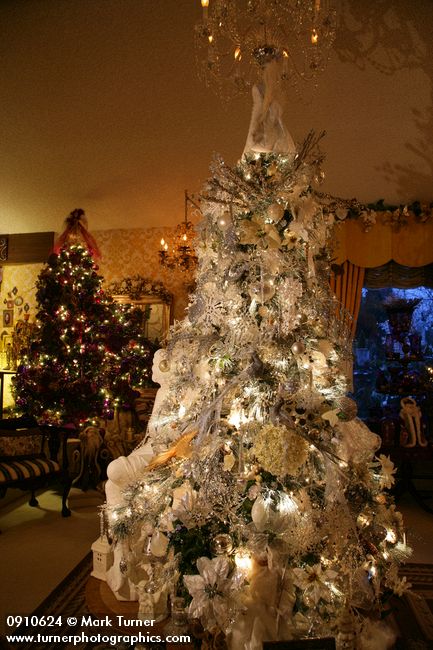 0910624 Silver Christmas tree w/ purple Christmas tree bkgnd. Mary Etta Foster, Ferndale, WA. © Mark Turner