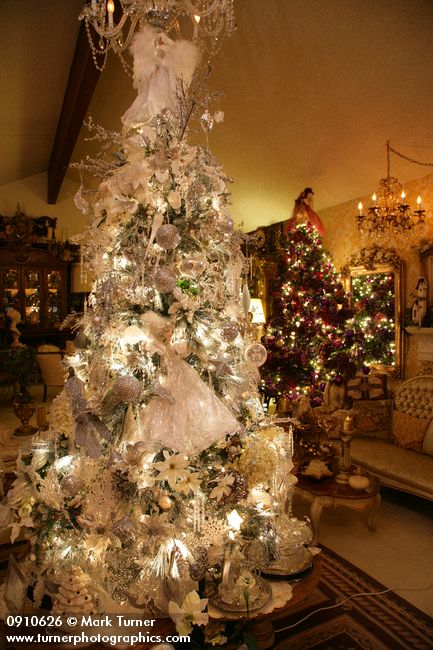 0910626 Silver Christmas tree w/ purple Christmas tree bkgnd. Mary Etta Foster, Ferndale, WA. © Mark Turner