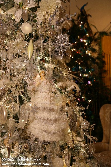 0910631 Angel in white gown on Silver Christmas tree w/ Peacock Christmas tree soft bkgnd. Mary Etta Foster, Ferndale, WA. © Mark Turner