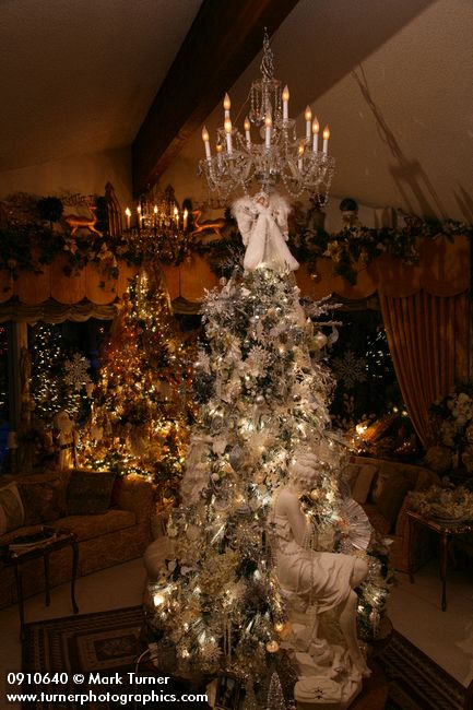 0910640 Silver & Gold Christmas trees in living room. Mary Etta Foster, Ferndale, WA. © Mark Turner