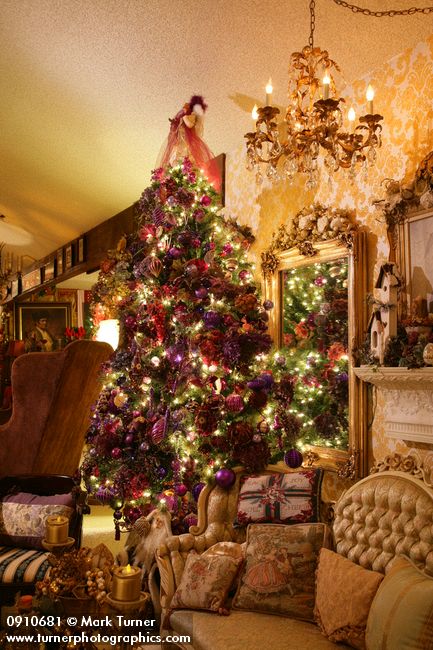 0910681 Purple Christmas tree in living room. Mary Etta Foster, Ferndale, WA. © Mark Turner