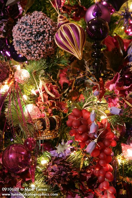 0910688 Purple Christmas tree ornaments detail. Mary Etta Foster, Ferndale, WA. © Mark Turner