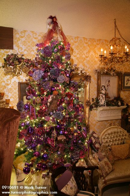 0910691 Purple Christmas tree in living room. Mary Etta Foster, Ferndale, WA. © Mark Turner