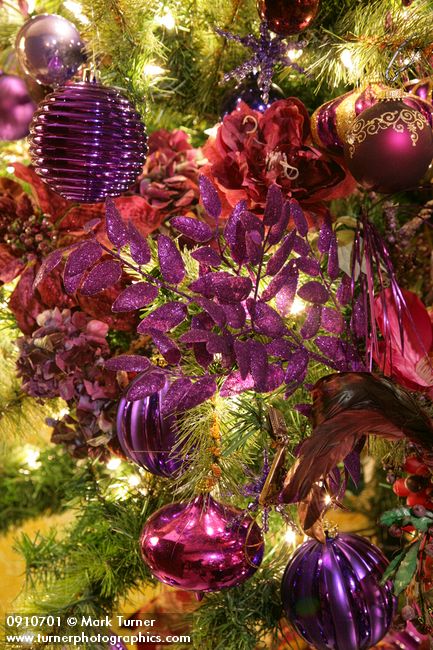 0910701 Purple Christmas tree ornaments detail. Mary Etta Foster, Ferndale, WA. © Mark Turner