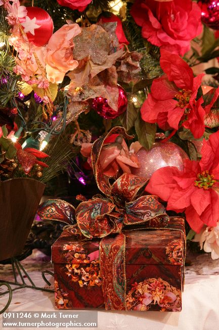 0911246 Package at base of Rose Christmas tree. Mary Etta Foster, Ferndale, WA. &copy; Mark Turner