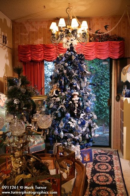 0911261 Blue Christmas tree against bedroom window. Mary Etta Foster, Ferndale, WA. &copy; Mark Turner