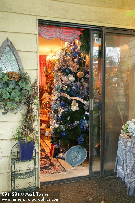 0911281 Blue Christmas tree from outside patio door. Mary Etta Foster, Ferndale, WA. &copy; Mark Turner