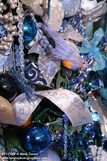 0911289 Blue Christmas tree ornaments detail. Mary Etta Foster, Ferndale, WA. &copy; Mark Turner