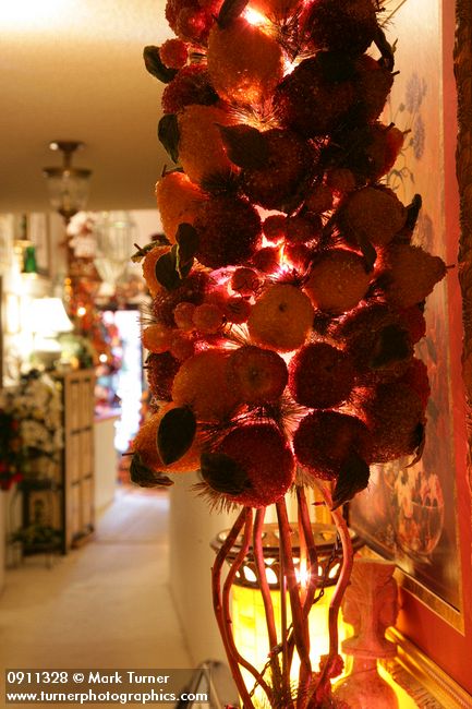 0911328 Fruit tabletop Christmas tree. Mary Etta Foster, Ferndale, WA. &copy; Mark Turner
