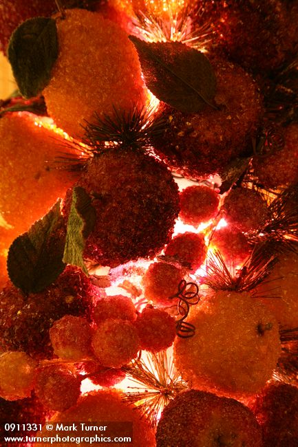 0911331 Fruit Christmas tree ornaments detail. Mary Etta Foster, Ferndale, WA. &copy; Mark Turner