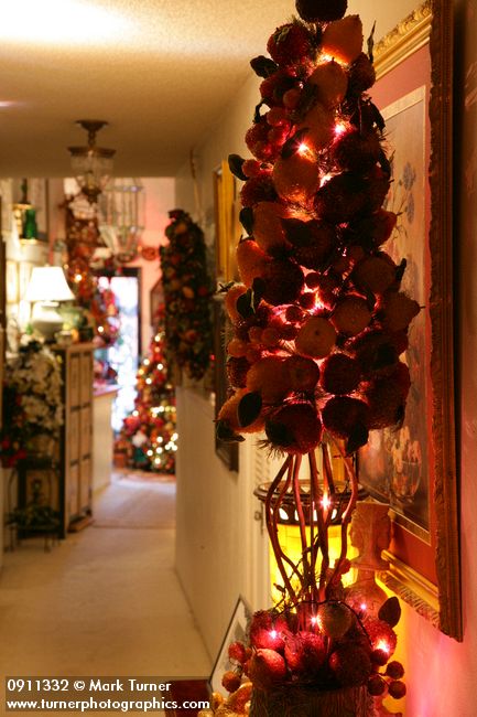 0911332 Fruit tabletop Christmas tree in hallway. Mary Etta Foster, Ferndale, WA. &copy; Mark Turner