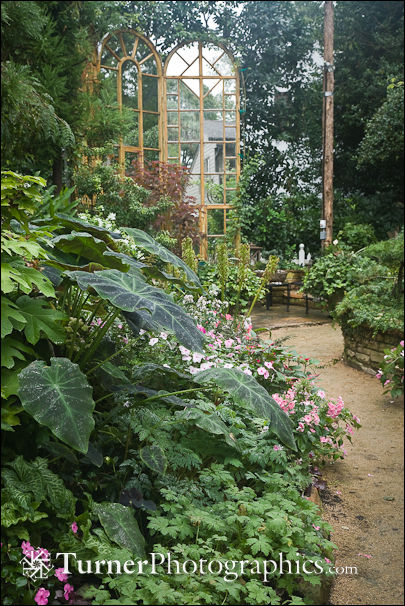 Sylvia Redwine's Raleigh, North Carolina garden.