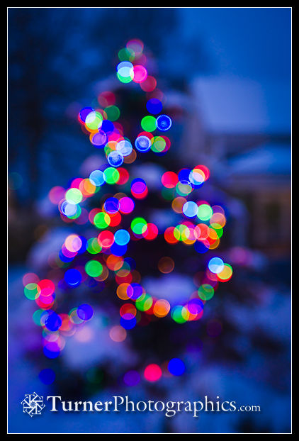 Outside Christmas Tree in the Snow Soft Focus