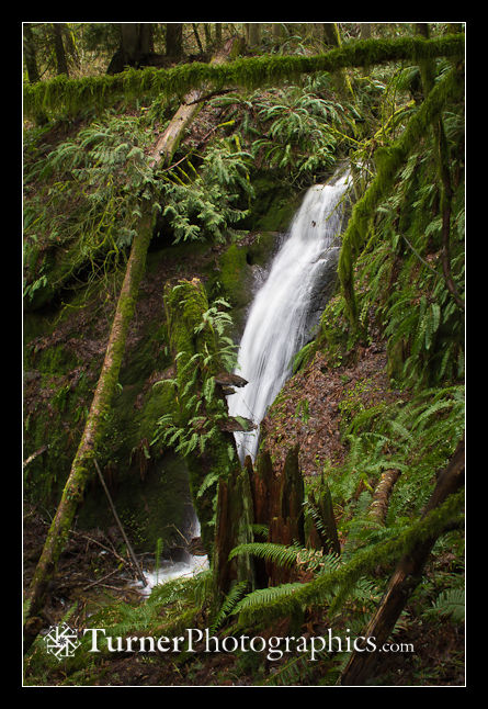 Chuckanut Falls