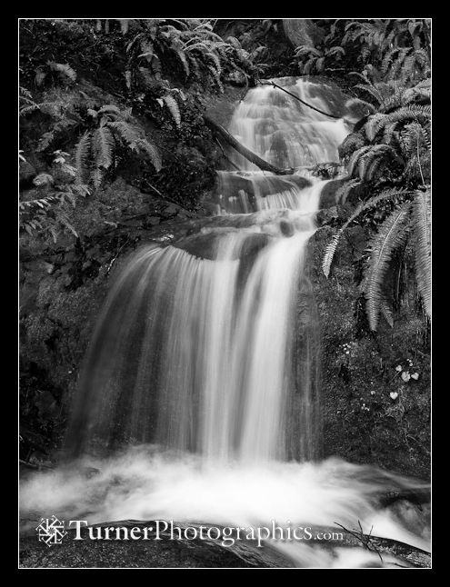 Unnamed waterfall along Interurban Trail