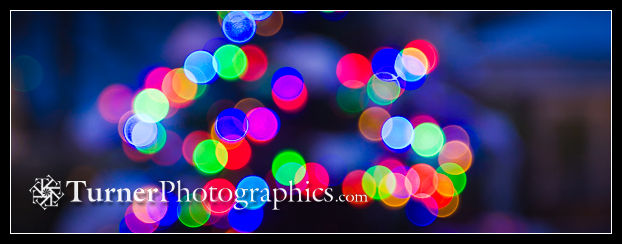 1200064 Soft-focus snow-covered outdoor Christmas tree. McClendon/Turner home, Bellingham, WA. © Mark Turner