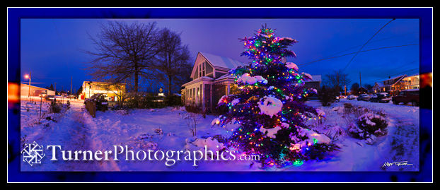 Holiday lights on outdoor Christmas tree