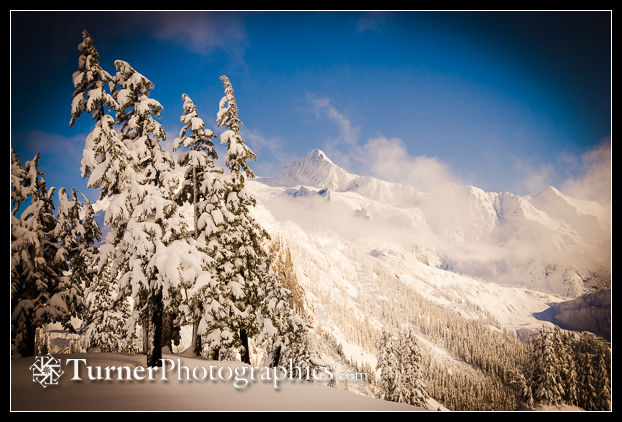 Mt. Shuksan framed by snow-covered Mountain Hemlocks