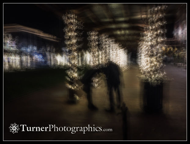 Holiday lights on Fairhaven Village Green, Bellingham, WA. © 2017 Mark Turner