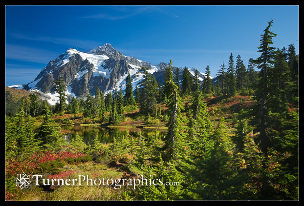 Mt. Shuksan from Picture Lake