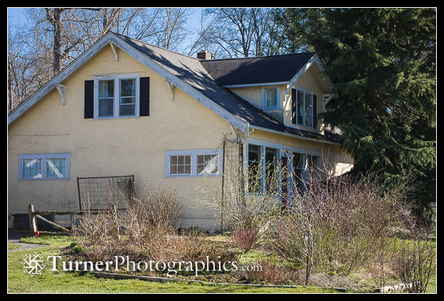 Early spring native shrub garden