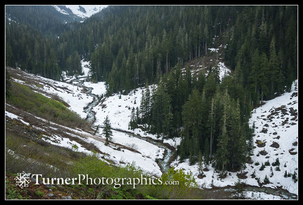 Ruth Creek valley