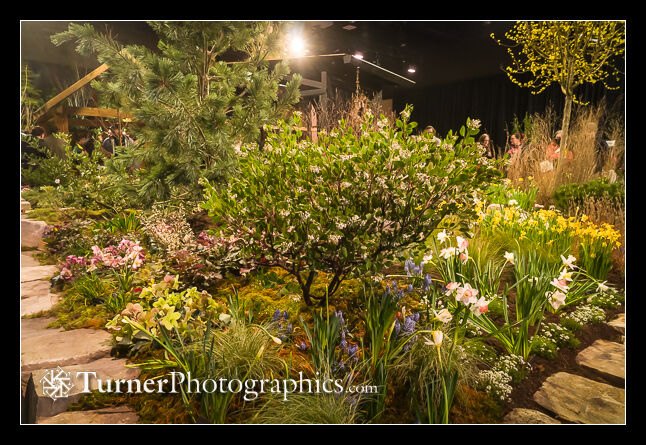 The Makers' Meadow display garden by Lacewing Fine Gardening an dBotanical Design. NW Flower & Garden Festival, Seattle, WA. © 2025 Mark Turner